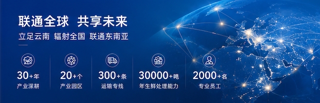 恒通供应链 - 联通全球 共享未来