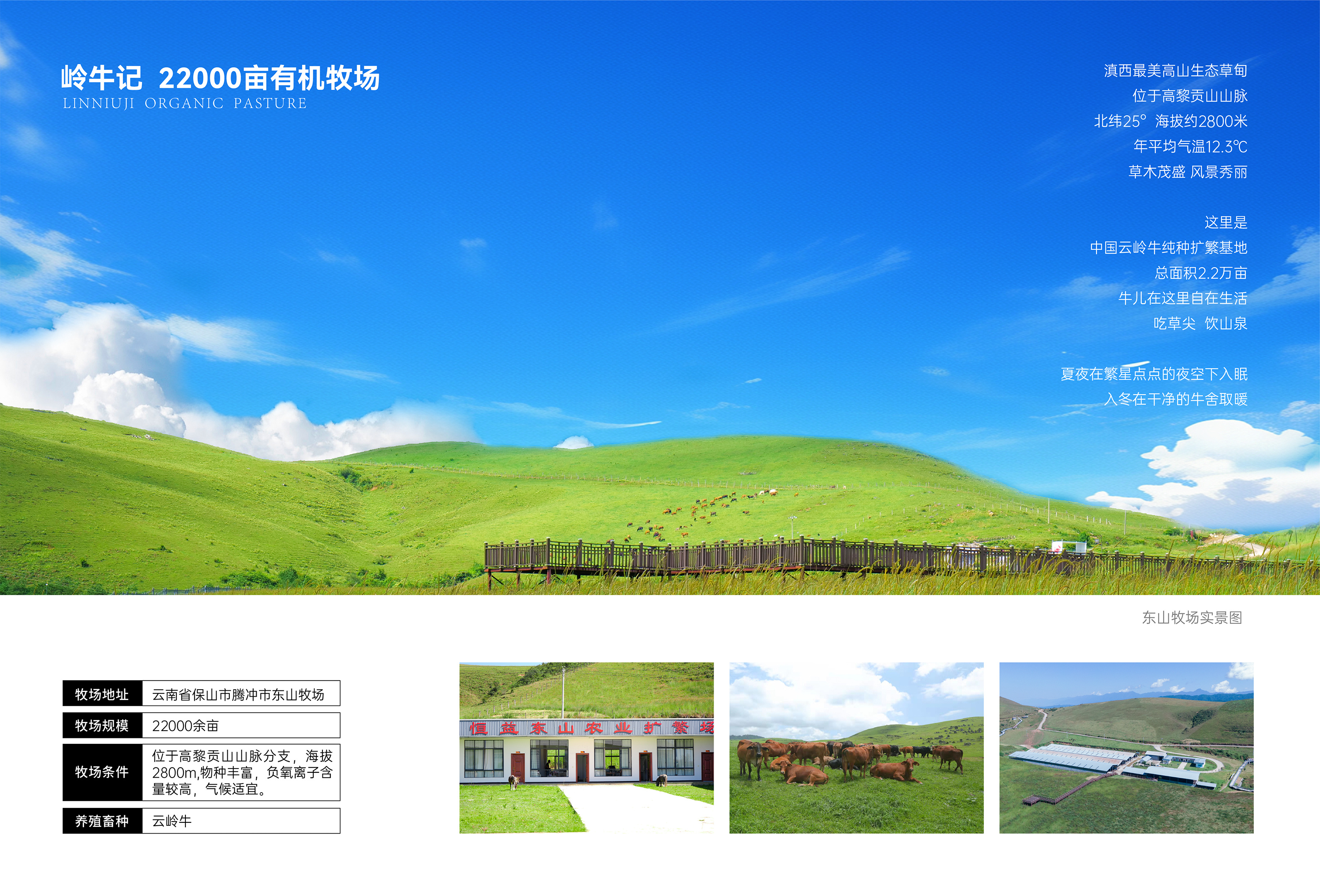 东山有机牧场