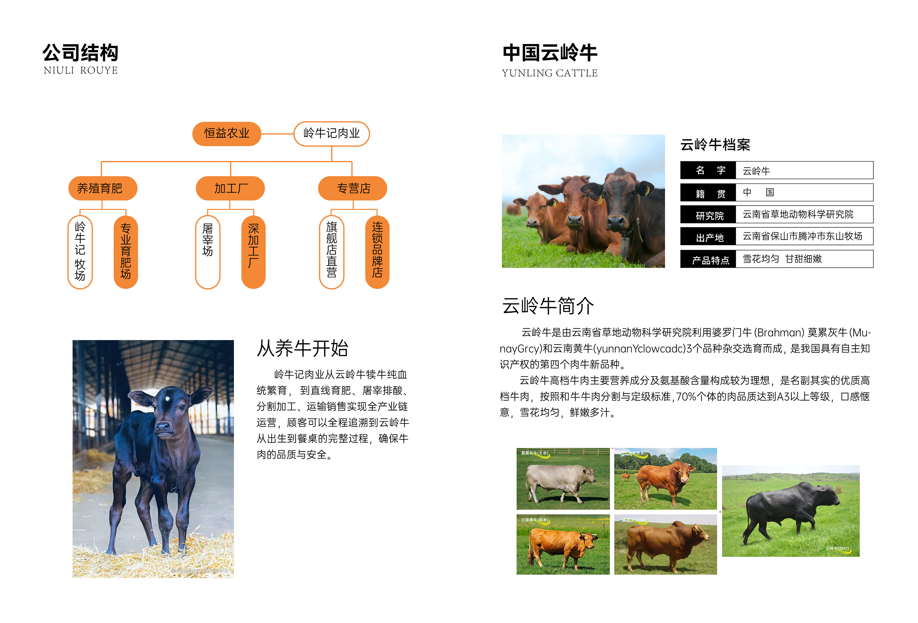 全产业链运营