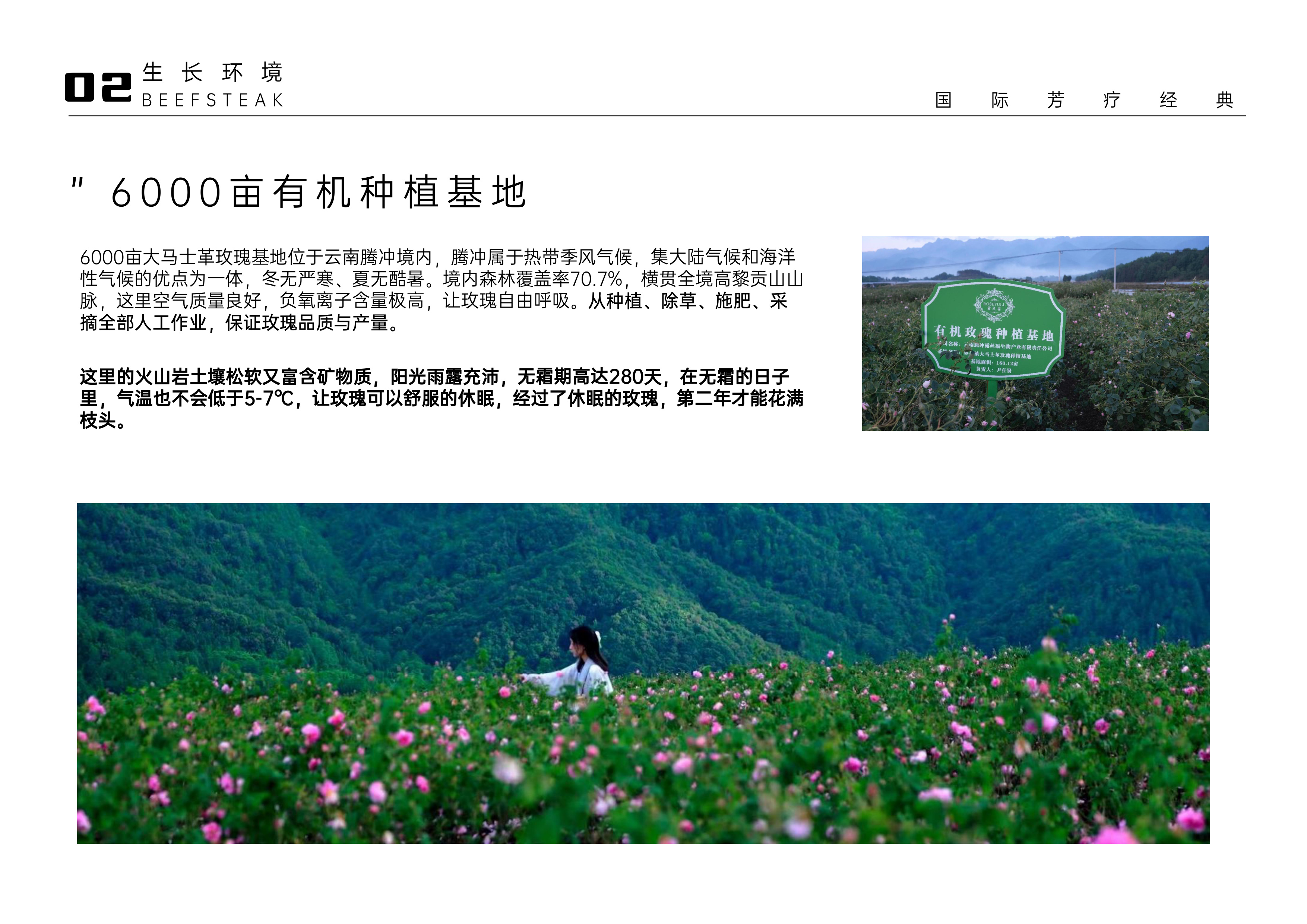 6000亩有机种植基地