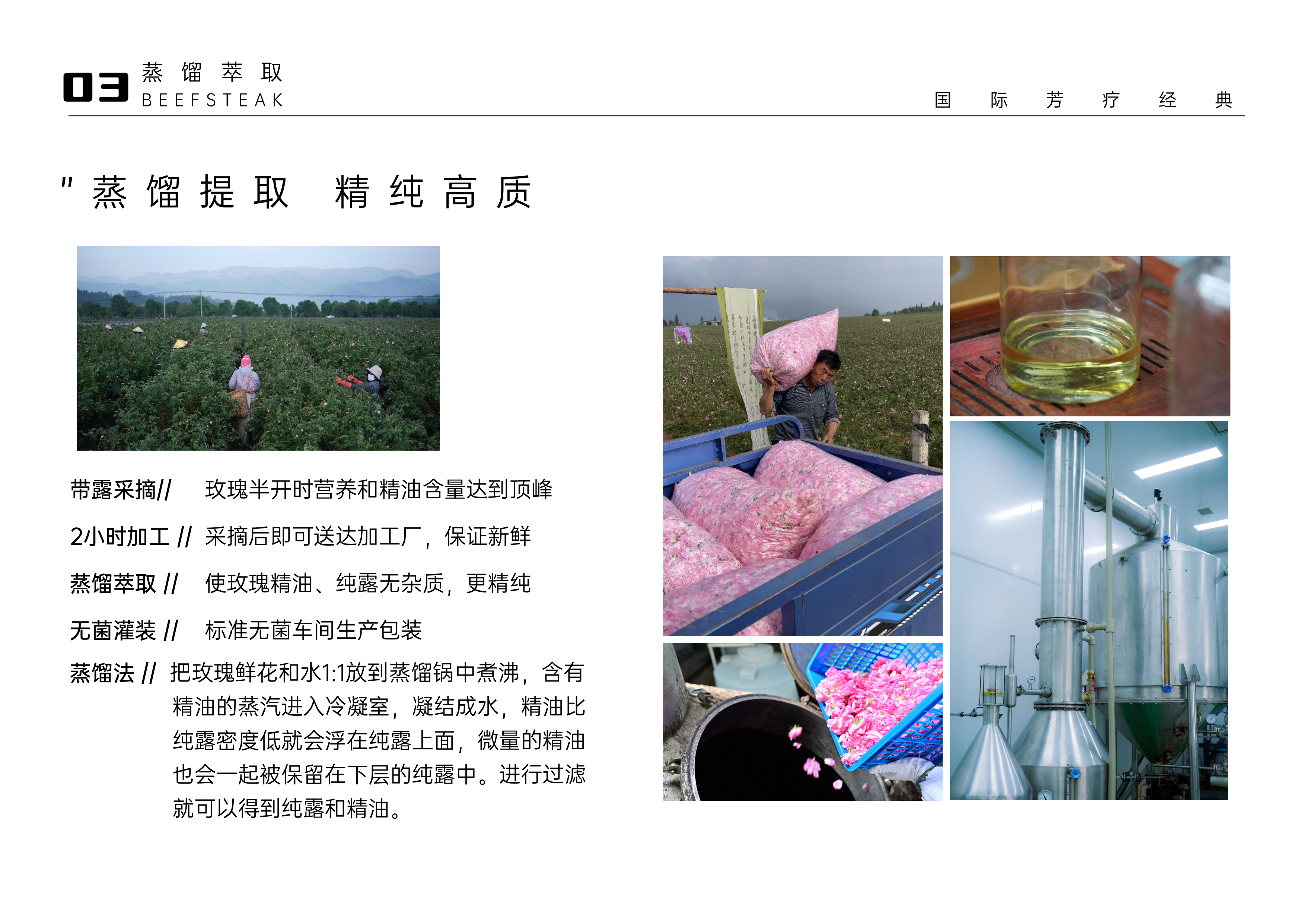 蒸馏提取 · 精纯高质